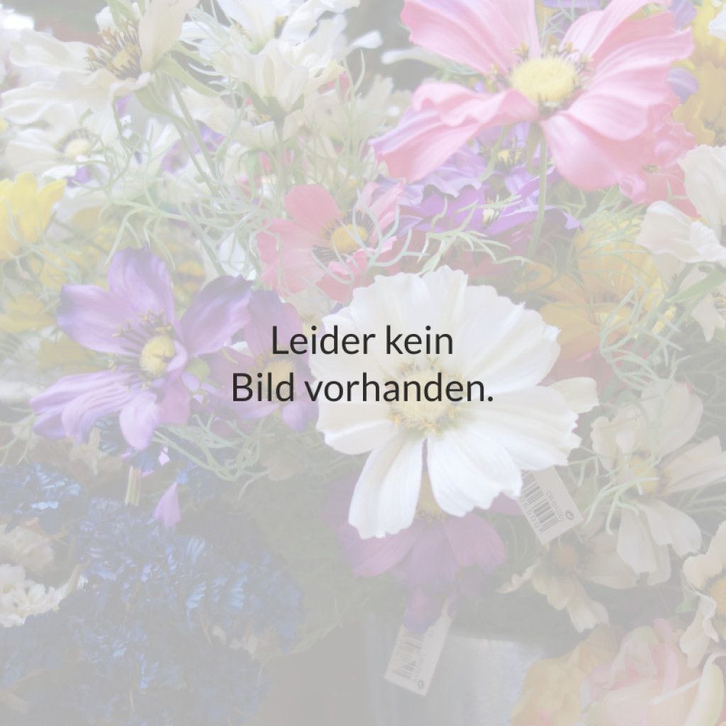 Feige \'Noire de Nimmervoll & – 10L | für Fachmarkt Blumen, Co Floristik! … Garten Ihr Bellon